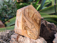 Polished Picture Stone Jasper Points x 2 From Ais-Ais, Namibia - Toprock Gemstones and Minerals 