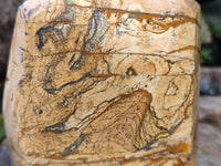 Polished Picture Stone Jasper Points x 2 From Ais-Ais, Namibia - Toprock Gemstones and Minerals 