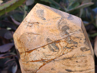 Polished Picture Stone Jasper Points x 2 From Ais-Ais, Namibia - Toprock Gemstones and Minerals 