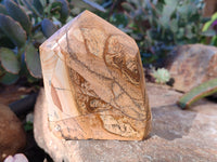 Polished Picture Stone Jasper Points x 2 From Ais-Ais, Namibia - Toprock Gemstones and Minerals 