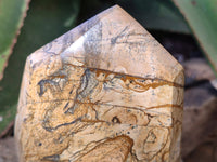 Polished Picture Stone Jasper Points x 2 From Ais-Ais, Namibia - Toprock Gemstones and Minerals 