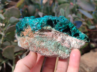 Natural Dioptase and Malachite On Dolomite Specimens x 2 From Likasi, Congo - Toprock Gemstones and Minerals 