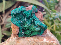 Natural Dioptase and Malachite On Dolomite Specimens x 2 From Likasi, Congo - Toprock Gemstones and Minerals 