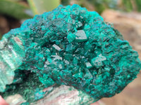 Natural Dioptase and Malachite On Dolomite Specimens x 2 From Likasi, Congo - Toprock Gemstones and Minerals 