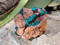 Natural Dioptase and Malachite On Dolomite Specimens x 2 From Likasi, Congo - Toprock Gemstones and Minerals 