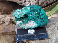 Natural Dioptase and Malachite On Dolomite Specimens x 2 From Likasi, Congo - Toprock Gemstones and Minerals 