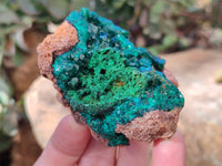 Natural Dioptase and Malachite On Dolomite Specimens x 2 From Likasi, Congo - Toprock Gemstones and Minerals 