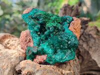 Natural Dioptase and Malachite On Dolomite Specimens x 2 From Likasi, Congo - Toprock Gemstones and Minerals 