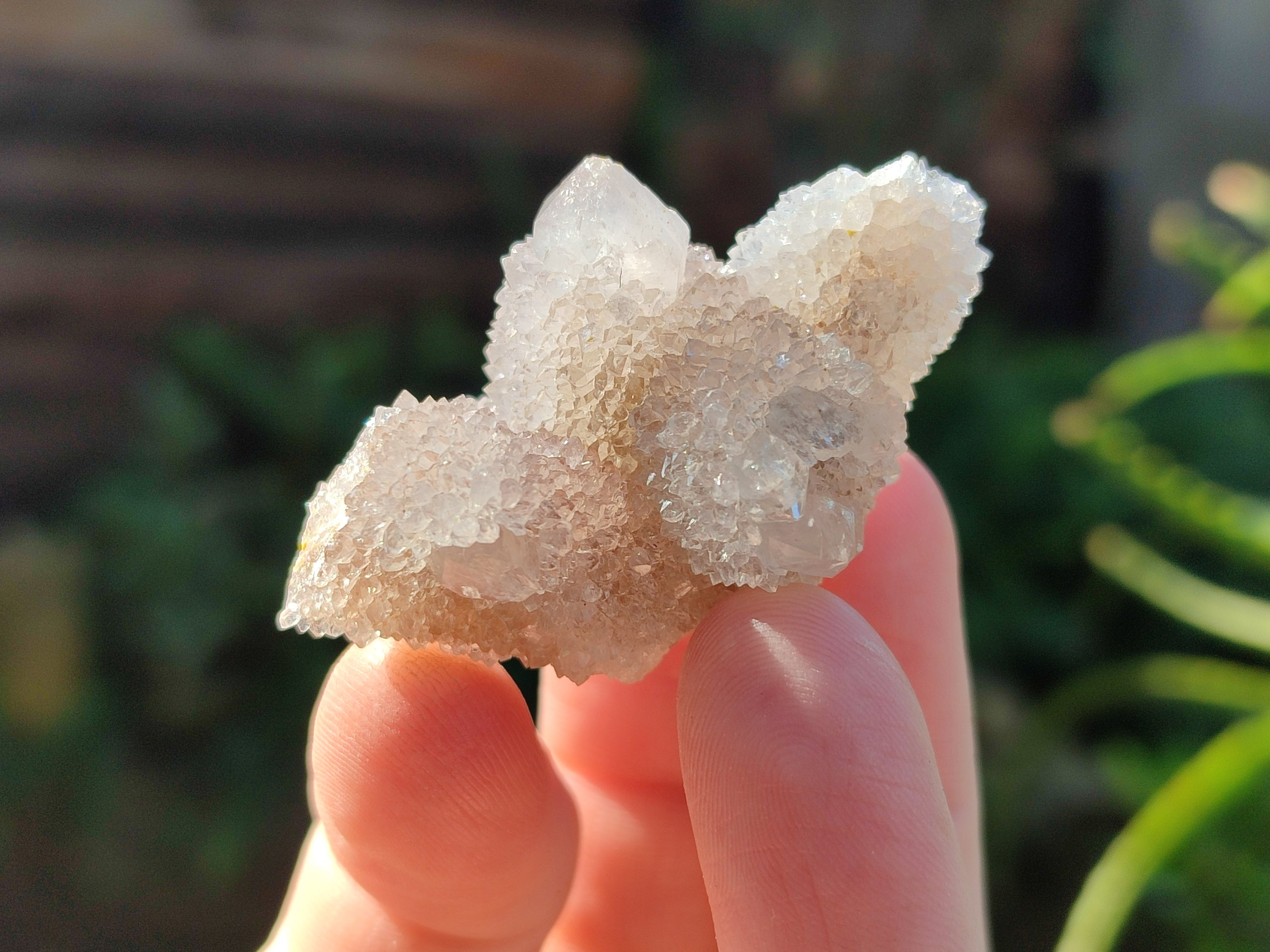 Natural Golden Limonite Spirit Quartz Clusters x 70 From Boekenhouthoek, South Africa - Toprock Gemstones and Minerals 
