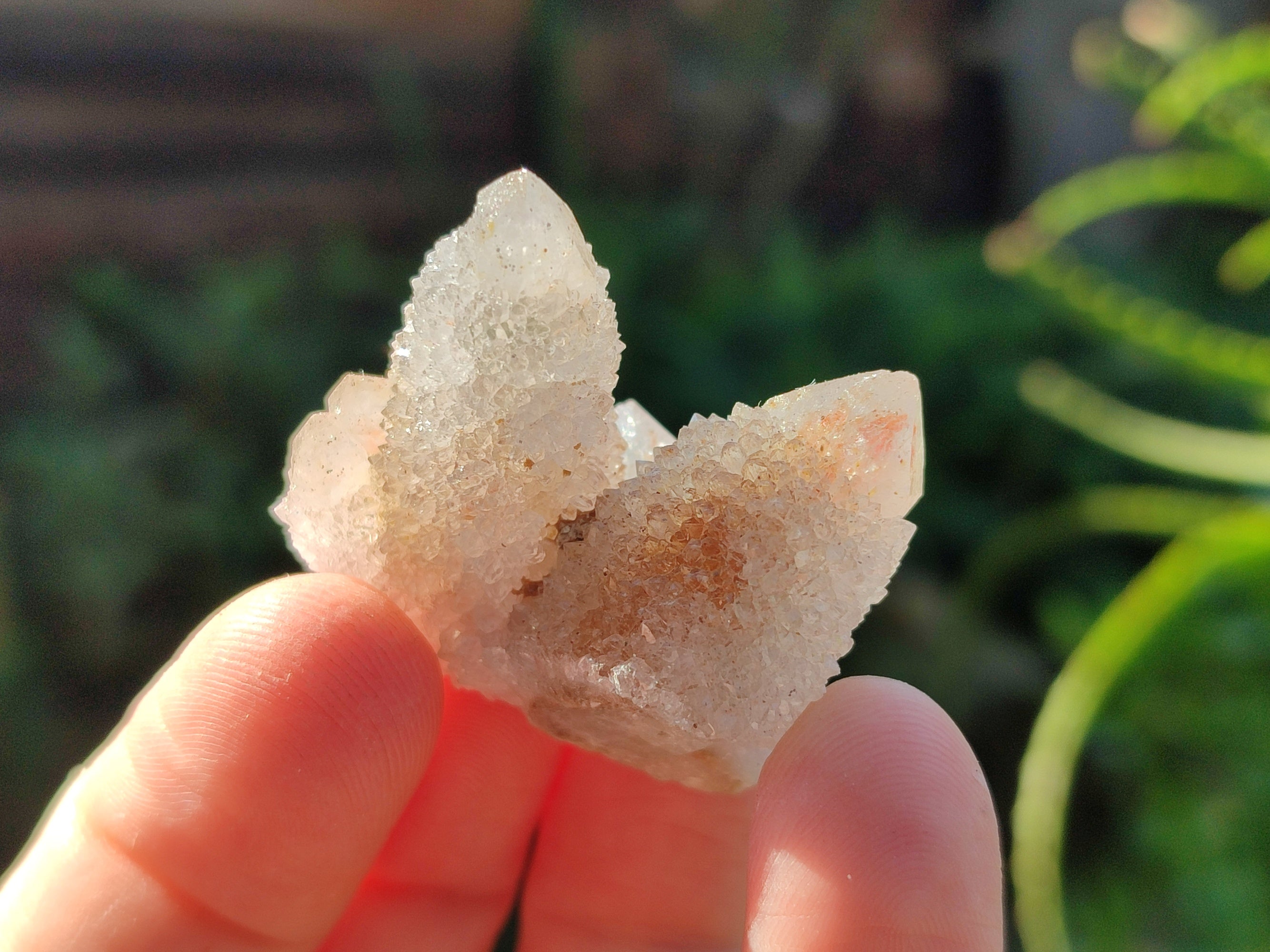 Natural Golden Limonite Spirit Quartz Clusters x 70 From Boekenhouthoek, South Africa - Toprock Gemstones and Minerals 