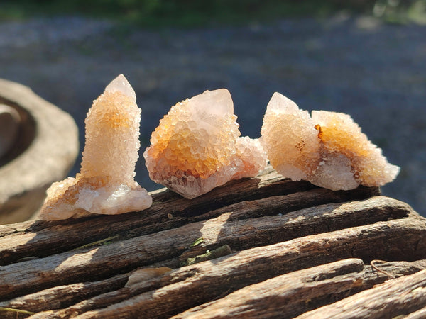 Natural Golden Limonite Spirit Quartz Clusters x 70 From Boekenhouthoek, South Africa - Toprock Gemstones and Minerals 