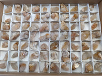 Natural Golden Limonite Spirit Quartz Clusters x 70 From Boekenhouthoek, South Africa - Toprock Gemstones and Minerals 