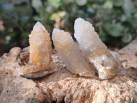 Natural Golden Limonite Spirit Quartz Clusters x 70 From Boekenhouthoek, South Africa - Toprock Gemstones and Minerals 