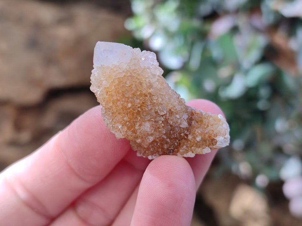 Natural Golden Limonite Spirit Quartz Clusters x 70 From Boekenhouthoek, South Africa - Toprock Gemstones and Minerals 