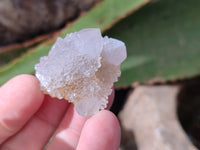 Natural Golden Limonite Spirit Quartz Clusters x 70 From Boekenhouthoek, South Africa - Toprock Gemstones and Minerals 