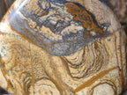 Polished Picture Stone Jasper Standing Free Forms x 2 From Ais-Ais, Namibia - Toprock Gemstones and Minerals 