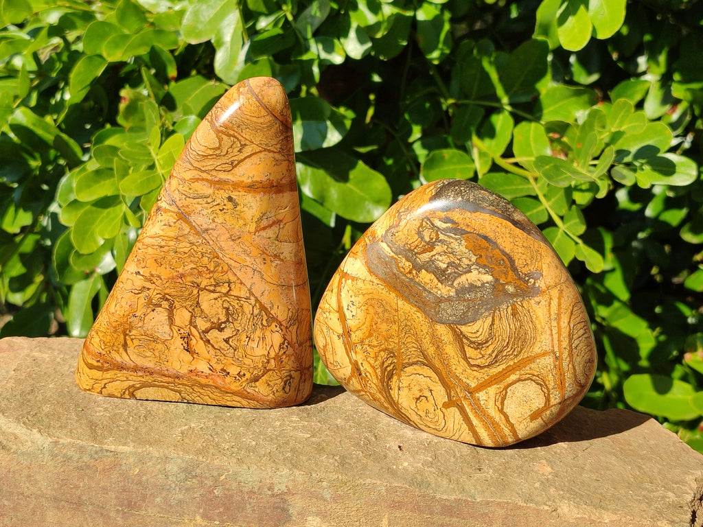 Polished Picture Stone Jasper Standing Free Forms x 2 From Ais-Ais, Namibia - Toprock Gemstones and Minerals 