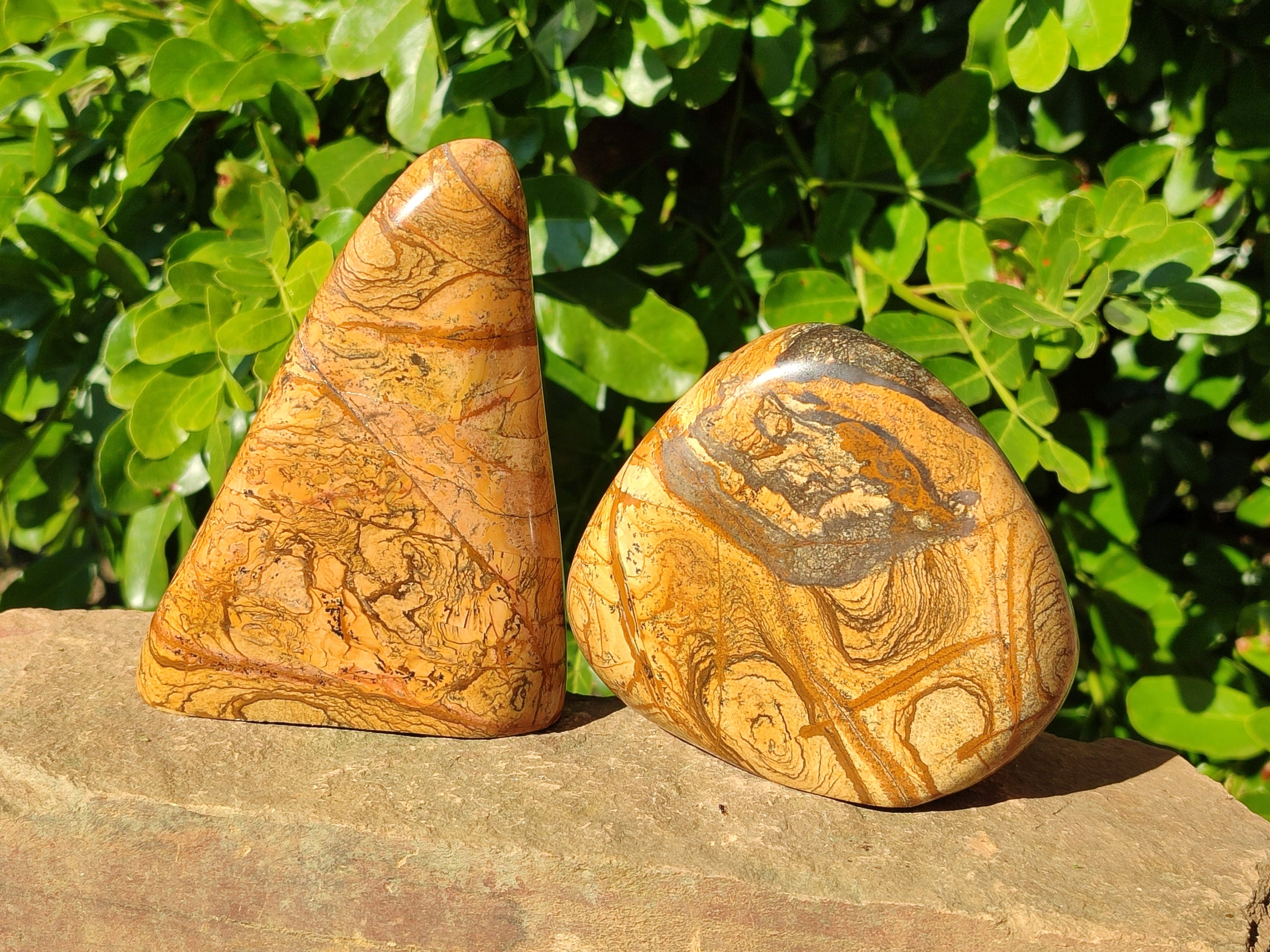 Polished Picture Stone Jasper Standing Free Forms x 2 From Ais-Ais, Namibia - Toprock Gemstones and Minerals 