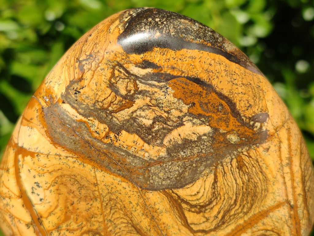 Polished Picture Stone Jasper Standing Free Forms x 2 From Ais-Ais, Namibia - Toprock Gemstones and Minerals 