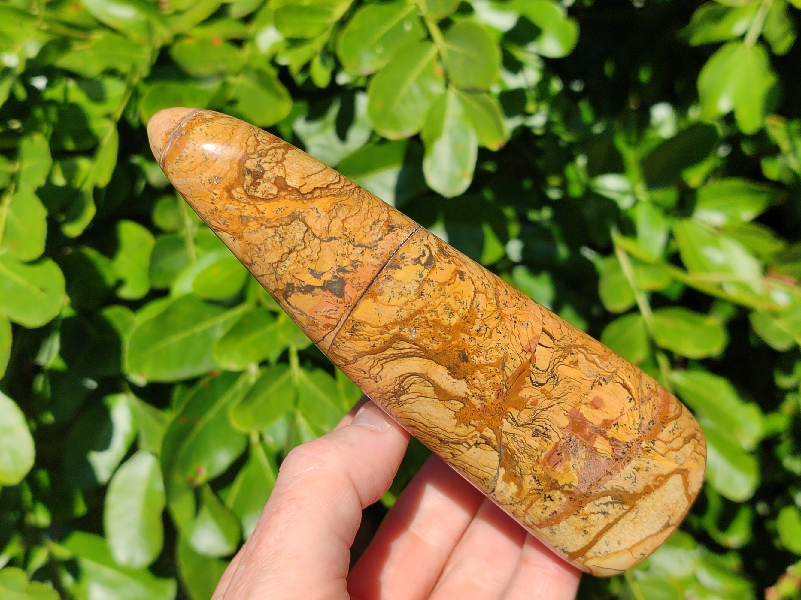 Polished Picture Stone Jasper Standing Free Forms x 2 From Ais-Ais, Namibia - Toprock Gemstones and Minerals 