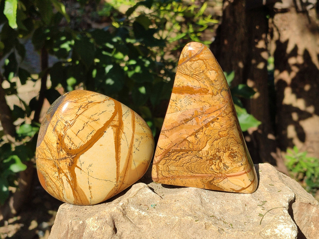 Polished Picture Stone Jasper Standing Free Forms x 2 From Ais-Ais, Namibia - Toprock Gemstones and Minerals 