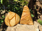 Polished Picture Stone Jasper Standing Free Forms x 2 From Ais-Ais, Namibia - Toprock Gemstones and Minerals 