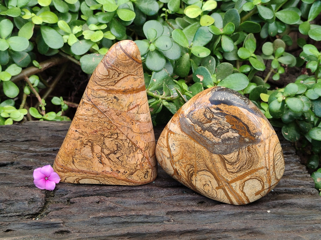 Polished Picture Stone Jasper Standing Free Forms x 2 From Ais-Ais, Namibia - Toprock Gemstones and Minerals 