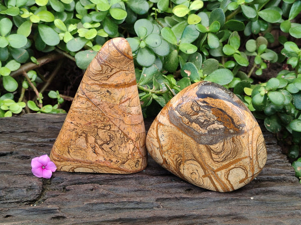 Polished Picture Stone Jasper Standing Free Forms x 2 From Ais-Ais, Namibia