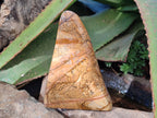 Polished Picture Stone Jasper Standing Free Forms x 2 From Ais-Ais, Namibia - Toprock Gemstones and Minerals 