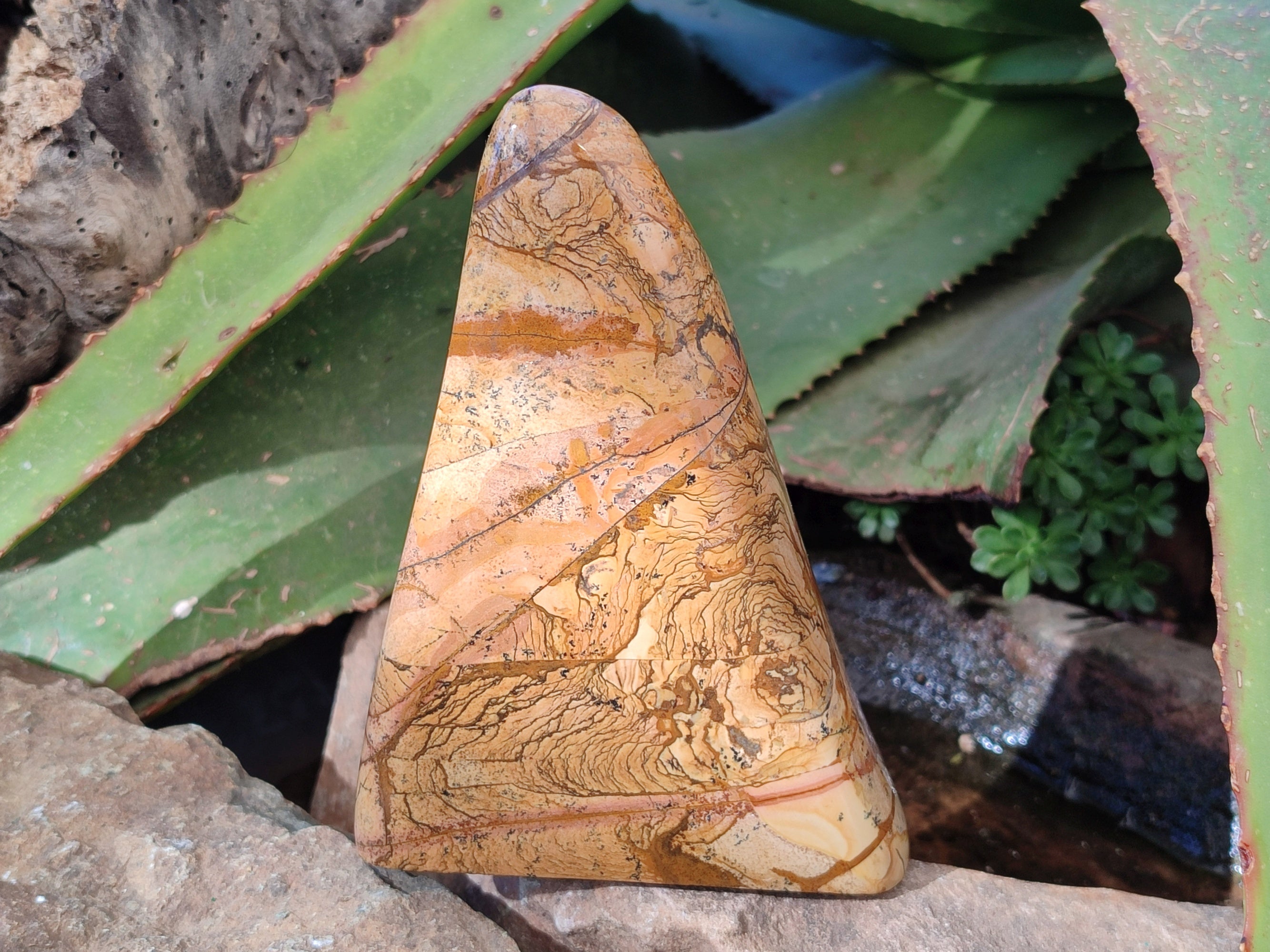 Polished Picture Stone Jasper Standing Free Forms x 2 From Ais-Ais, Namibia - Toprock Gemstones and Minerals 