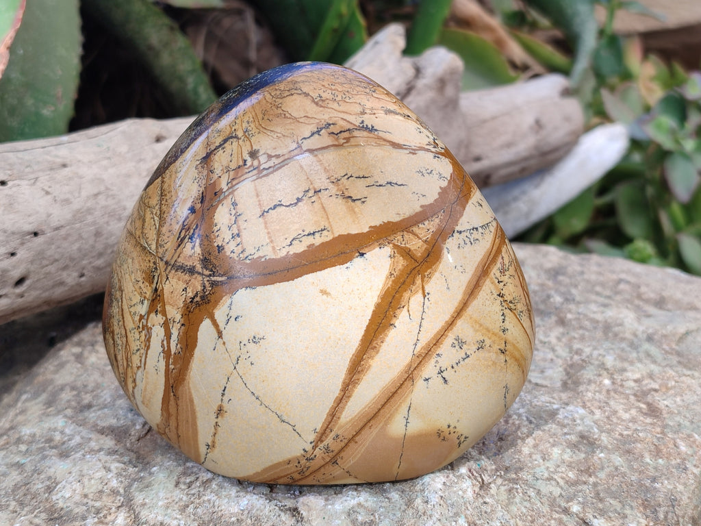 Polished Picture Stone Jasper Standing Free Forms x 2 From Ais-Ais, Namibia - Toprock Gemstones and Minerals 