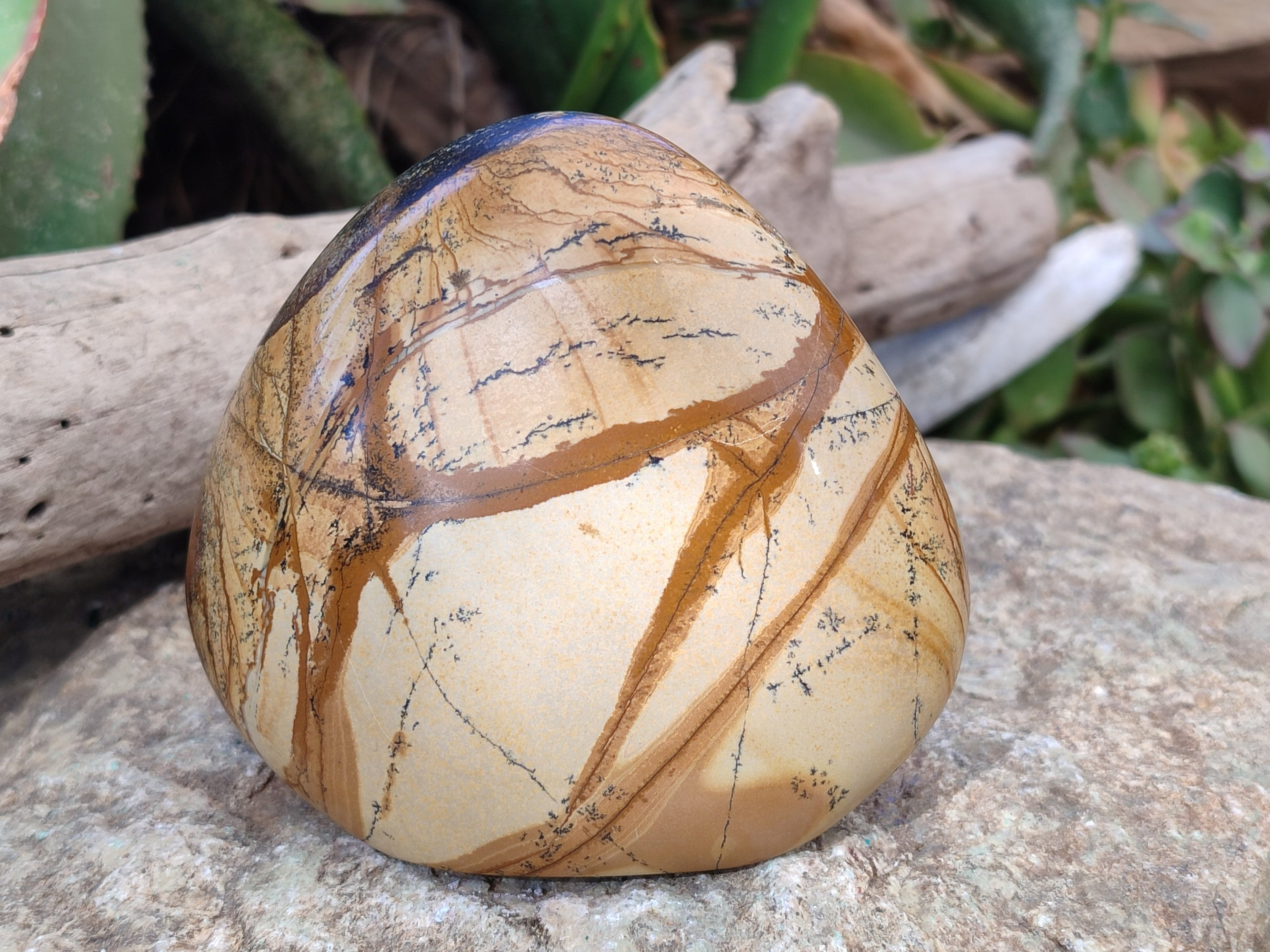 Polished Picture Stone Jasper Standing Free Forms x 2 From Ais-Ais, Namibia - Toprock Gemstones and Minerals 