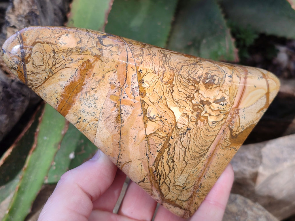 Polished Picture Stone Jasper Standing Free Forms x 2 From Ais-Ais, Namibia - Toprock Gemstones and Minerals 