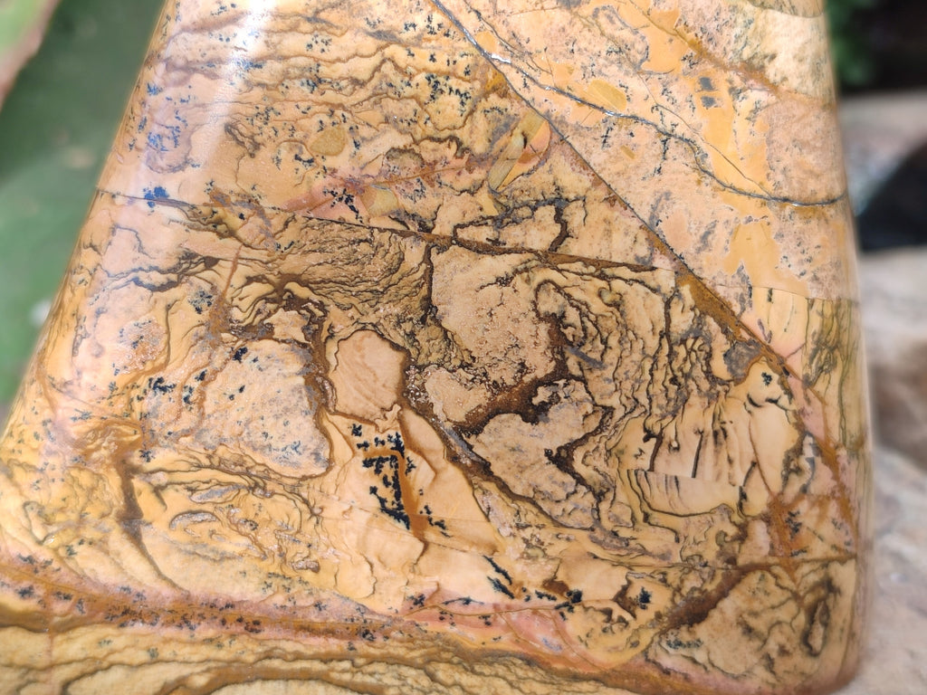 Polished Picture Stone Jasper Standing Free Forms x 2 From Ais-Ais, Namibia - Toprock Gemstones and Minerals 