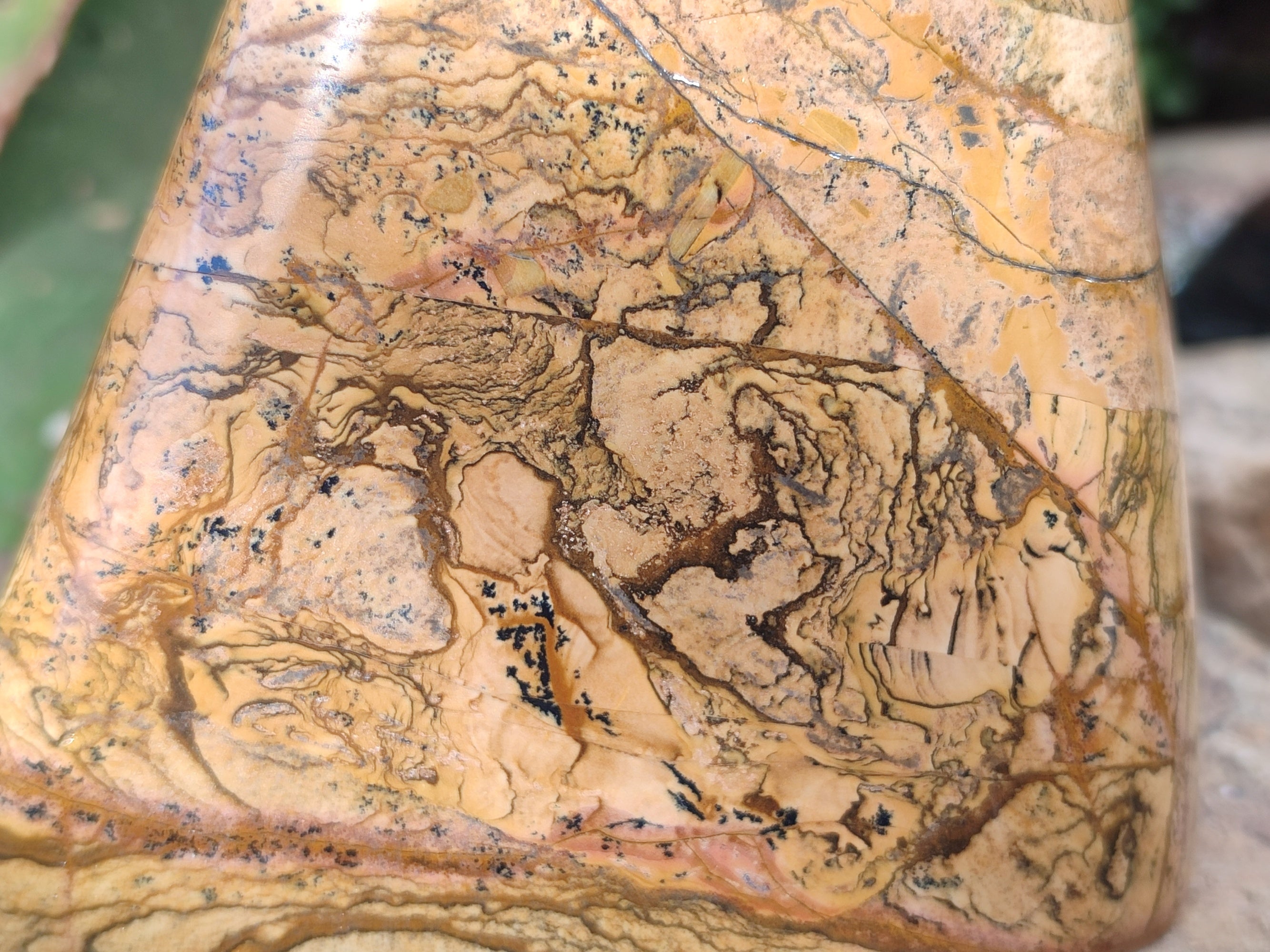 Polished Picture Stone Jasper Standing Free Forms x 2 From Ais-Ais, Namibia - Toprock Gemstones and Minerals 