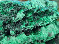 Natural Silky Malachite Specimens x 3 From Kasompe, Congo - Toprock Gemstones and Minerals 