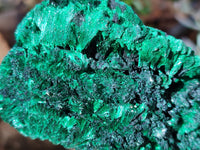 Natural Silky Malachite Specimens x 3 From Kasompe, Congo - Toprock Gemstones and Minerals 