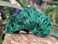 Natural Silky Malachite Specimens x 3 From Kasompe, Congo - Toprock Gemstones and Minerals 