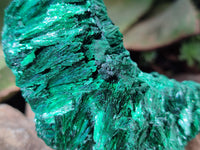 Natural Silky Malachite Specimens x 3 From Kasompe, Congo - Toprock Gemstones and Minerals 