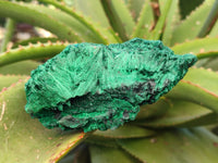 Natural Silky Malachite Specimens x 3 From Kasompe, Congo - Toprock Gemstones and Minerals 
