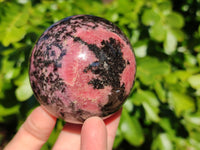 Polished Pink Rhodonite Spheres x 3 From Ambindavato, Madagascar - Toprock Gemstones and Minerals 