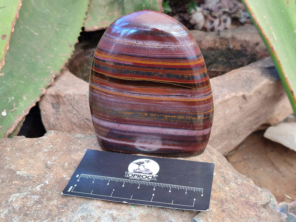 Polished Banded Tiger Iron Jasper Standing Free Forms x 2 From South Africa - Toprock Gemstones and Minerals 