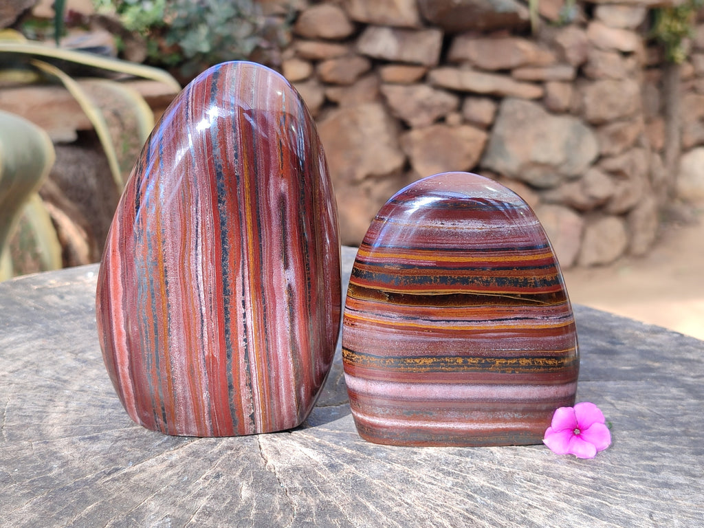 Polished Banded Tiger Iron Jasper Standing Free Forms x 2 From South Africa - Toprock Gemstones and Minerals 
