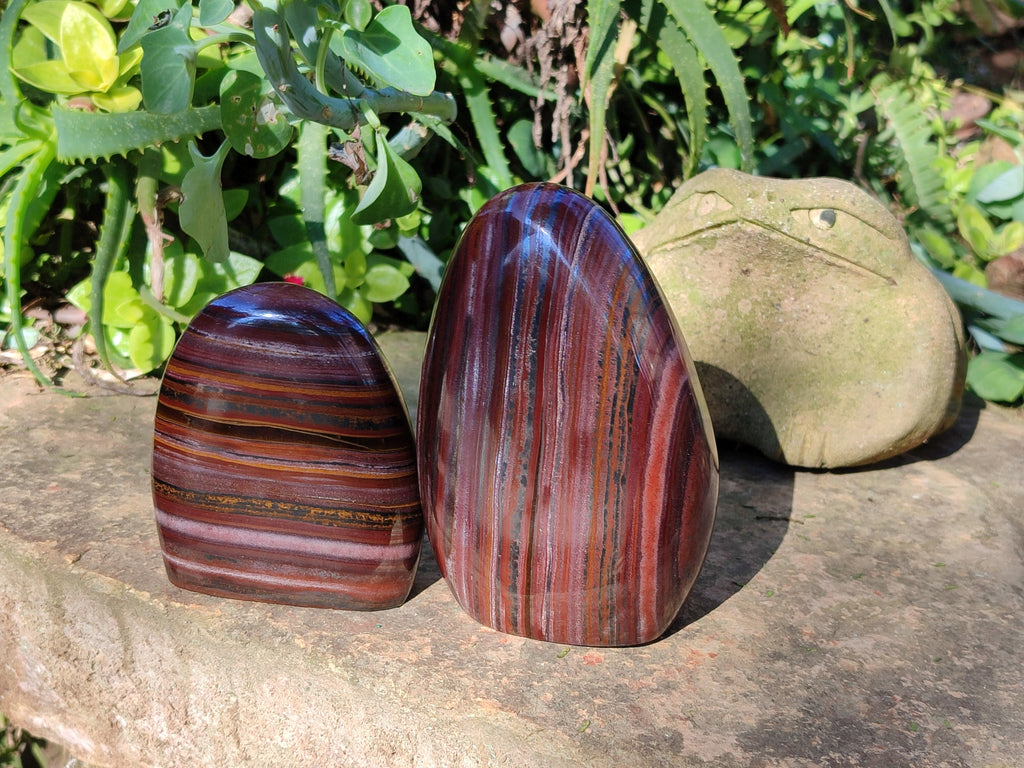 Polished Banded Tiger Iron Jasper Standing Free Forms x 2 From South Africa - Toprock Gemstones and Minerals 