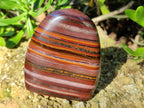 Polished Banded Tiger Iron Jasper Standing Free Forms x 2 From South Africa - Toprock Gemstones and Minerals 