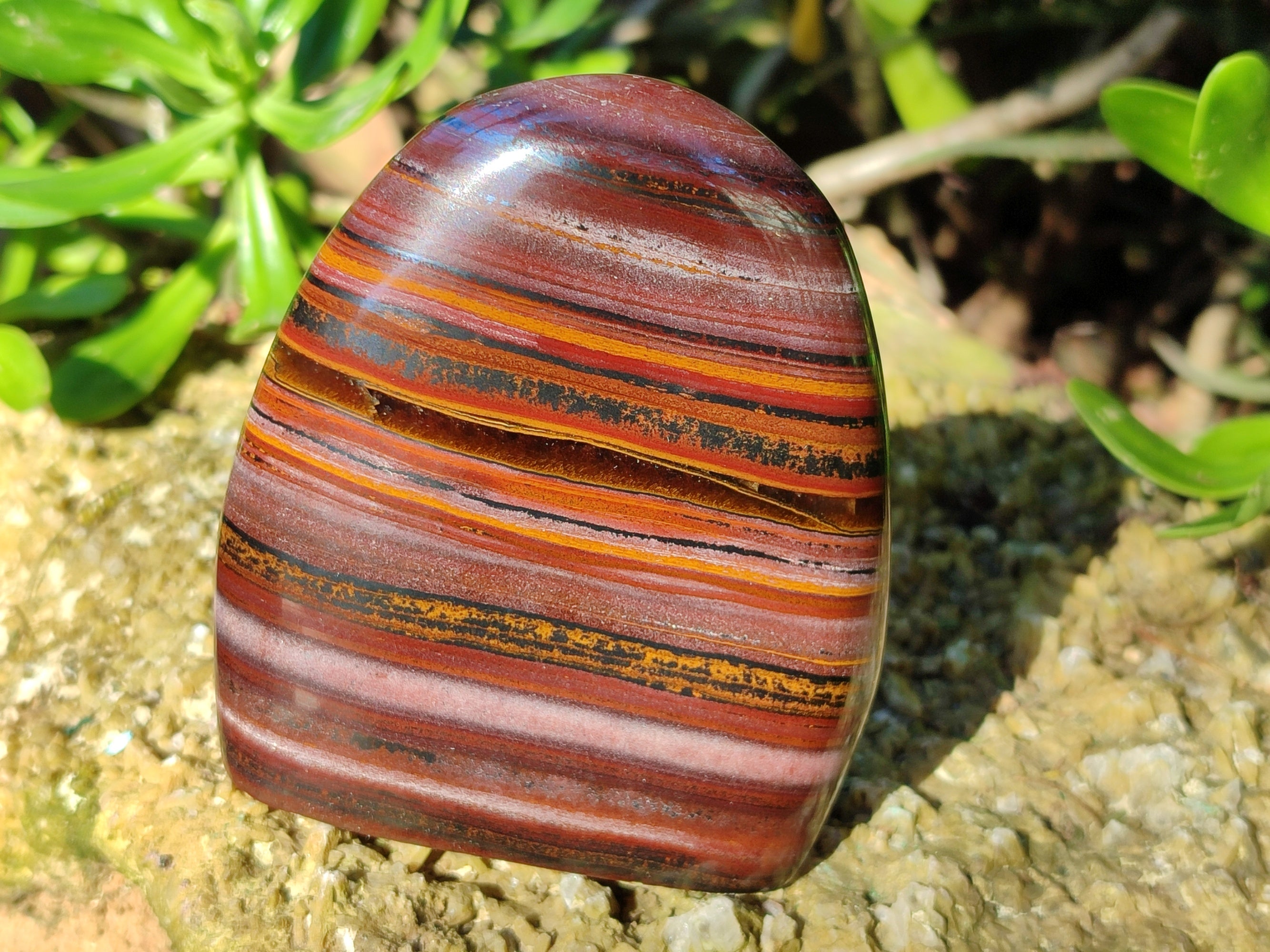 Polished Banded Tiger Iron Jasper Standing Free Forms x 2 From South Africa - Toprock Gemstones and Minerals 