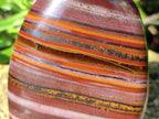 Polished Banded Tiger Iron Jasper Standing Free Forms x 2 From South Africa - Toprock Gemstones and Minerals 