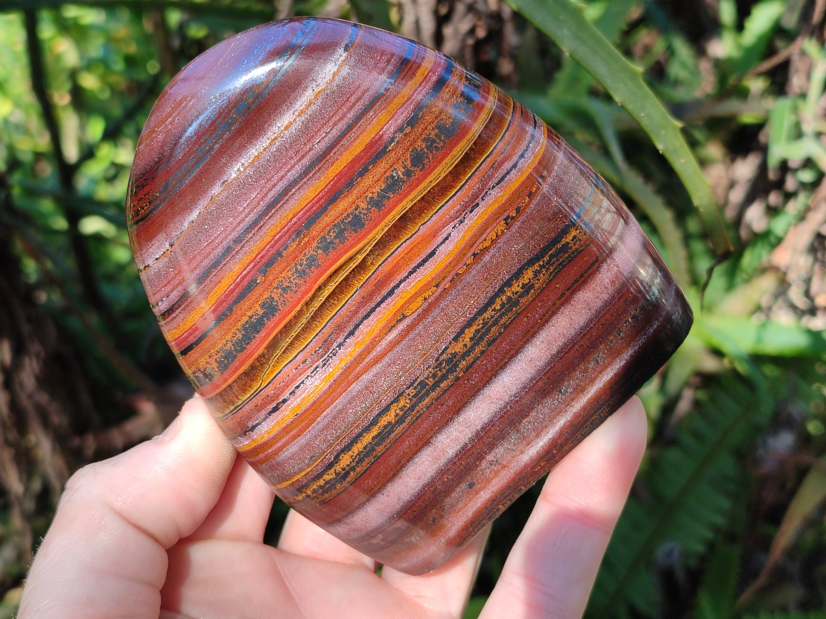 Polished Banded Tiger Iron Jasper Standing Free Forms x 2 From South Africa - Toprock Gemstones and Minerals 