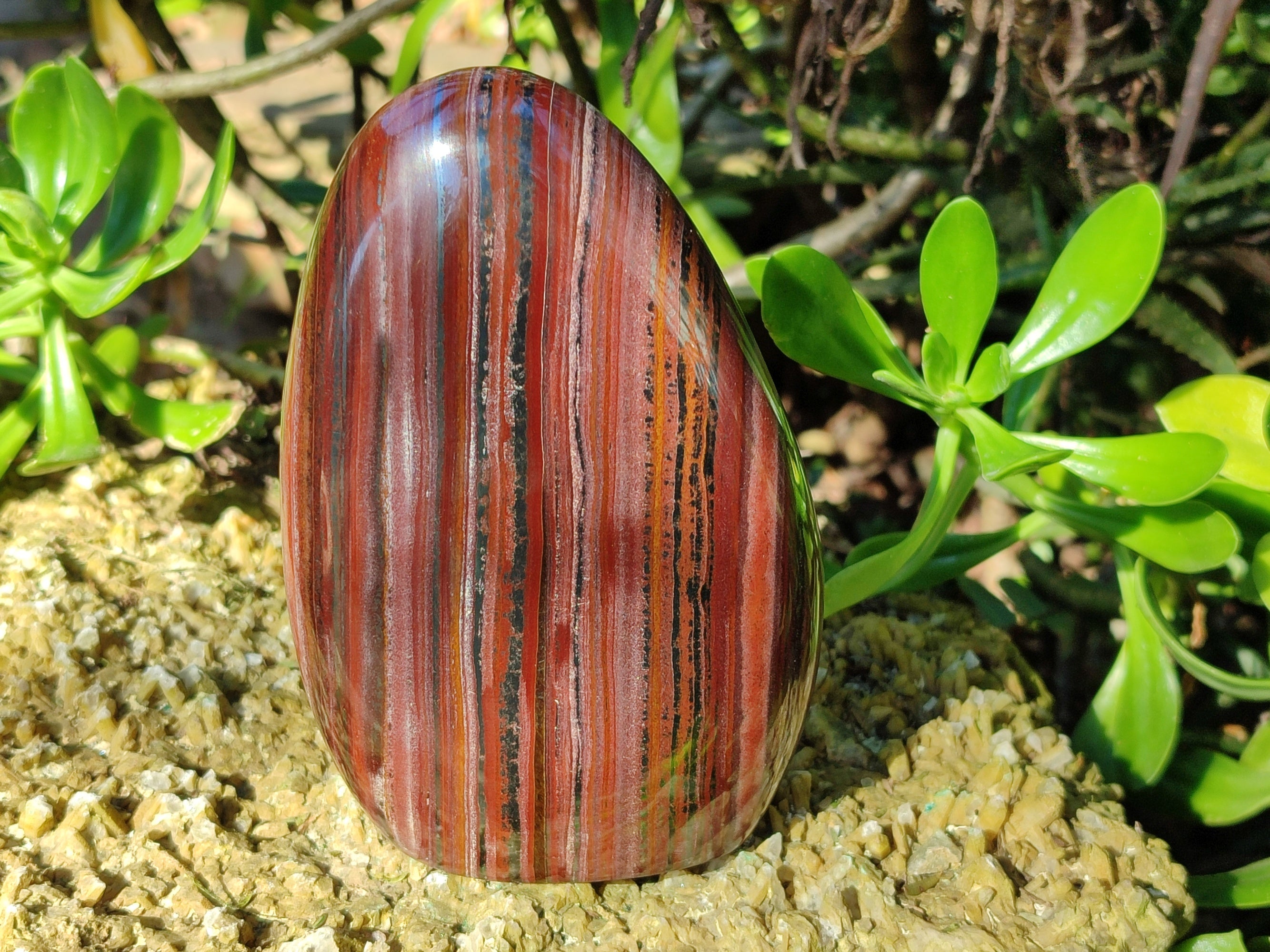 Polished Banded Tiger Iron Jasper Standing Free Forms x 2 From South Africa - Toprock Gemstones and Minerals 