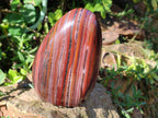 Polished Banded Tiger Iron Jasper Standing Free Forms x 2 From South Africa - Toprock Gemstones and Minerals 